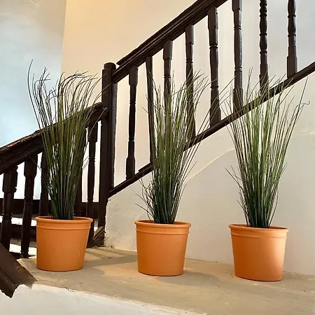 Portal De Molina 1 - Piso Acogedor En El Caso Historico De *